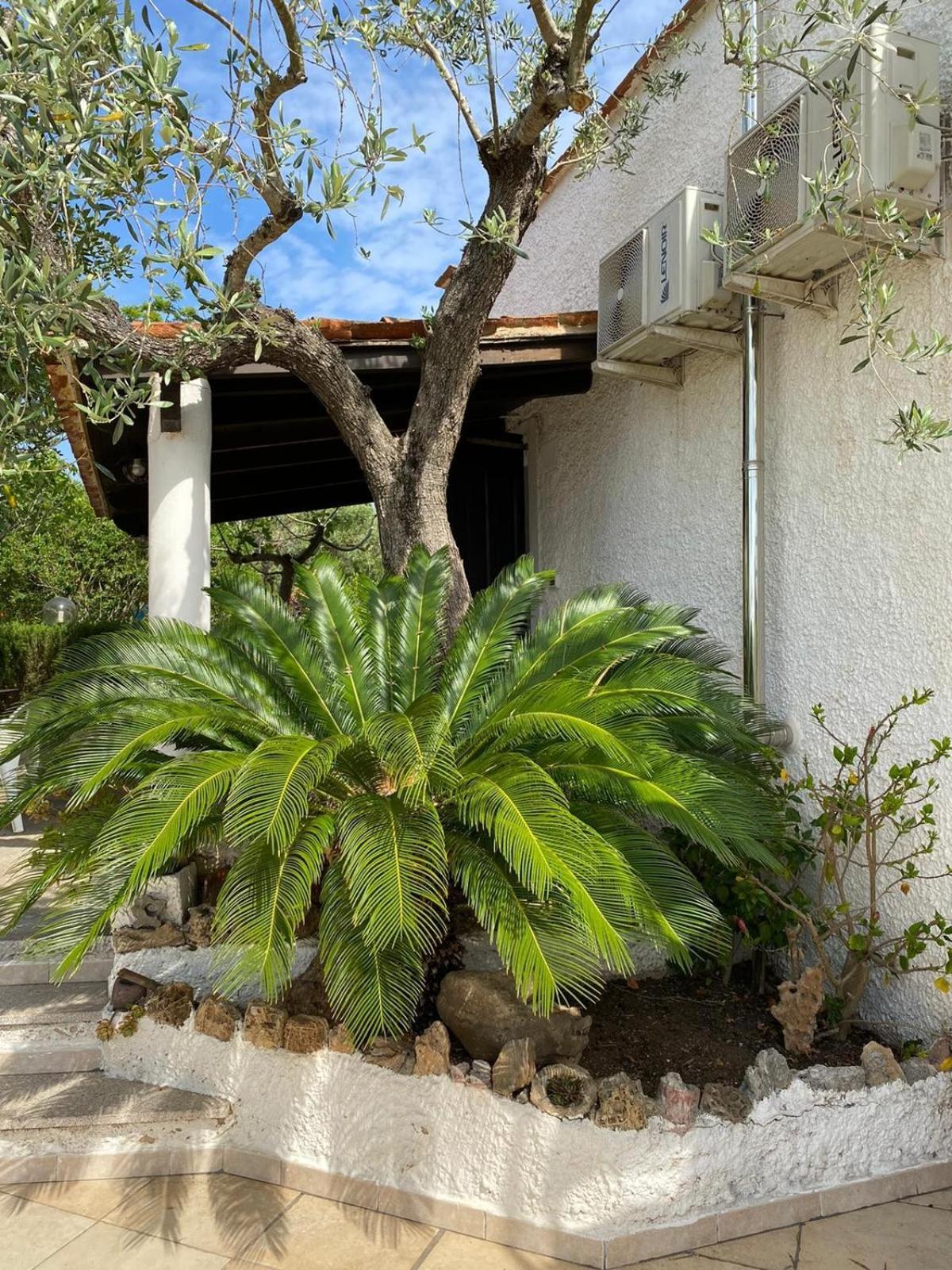 Domo Angheleda - Alghero Casa Indipendente Vicino Al Mare Luaran gambar