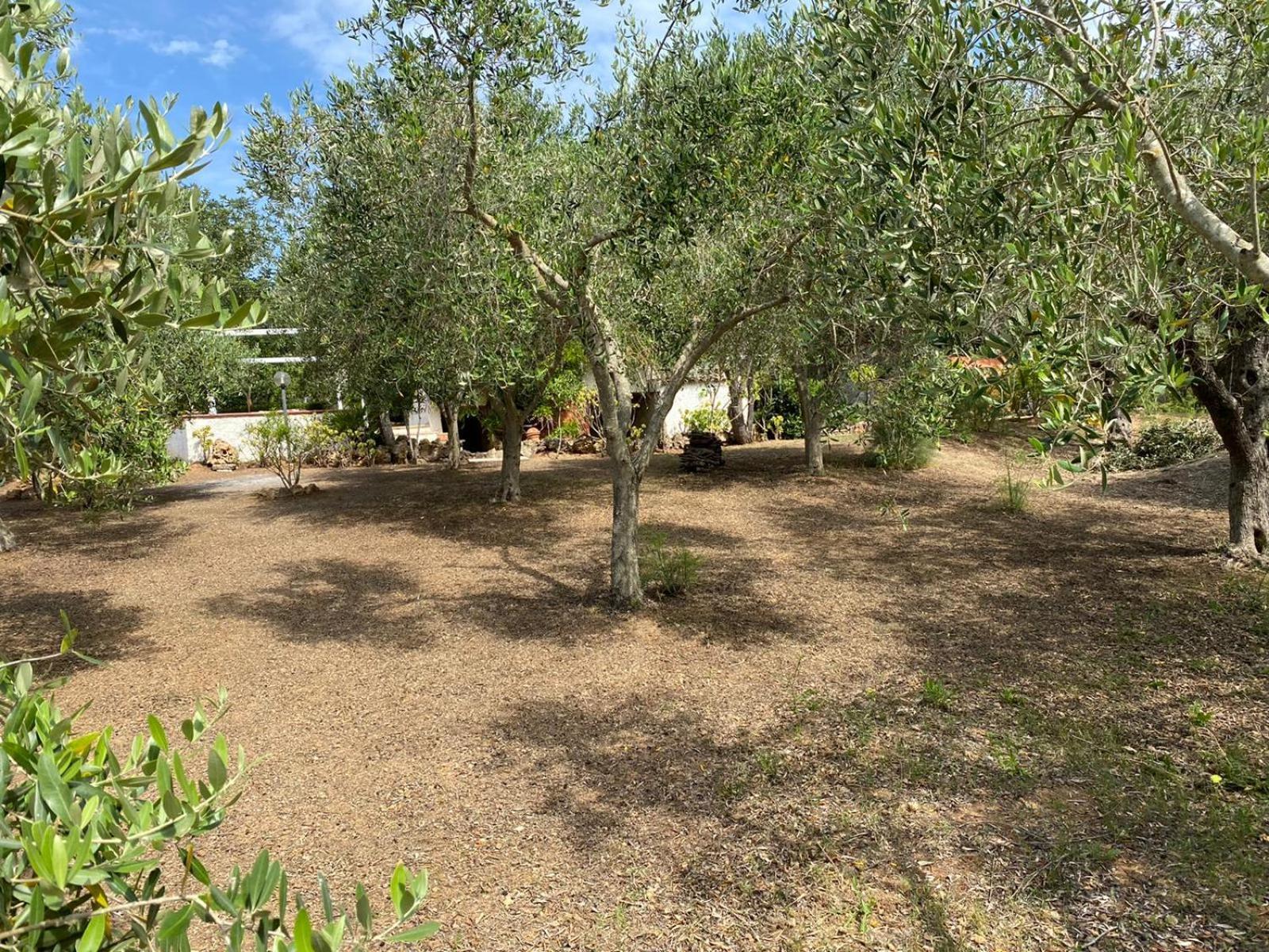 Domo Angheleda - Alghero Casa Indipendente Vicino Al Mare Luaran gambar